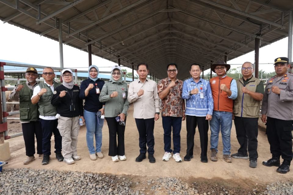 Wamenko Pangan RI Tinjau KSPEAN Tanah Bumbu, Perkuat Upaya Ketahanan Pangan Nasional